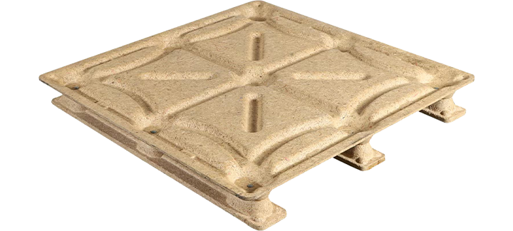 Ronsun Impor & Ekspor Co, Ltd.