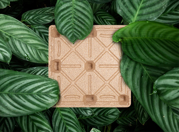 Ronsun Impor & Ekspor Co, Ltd.